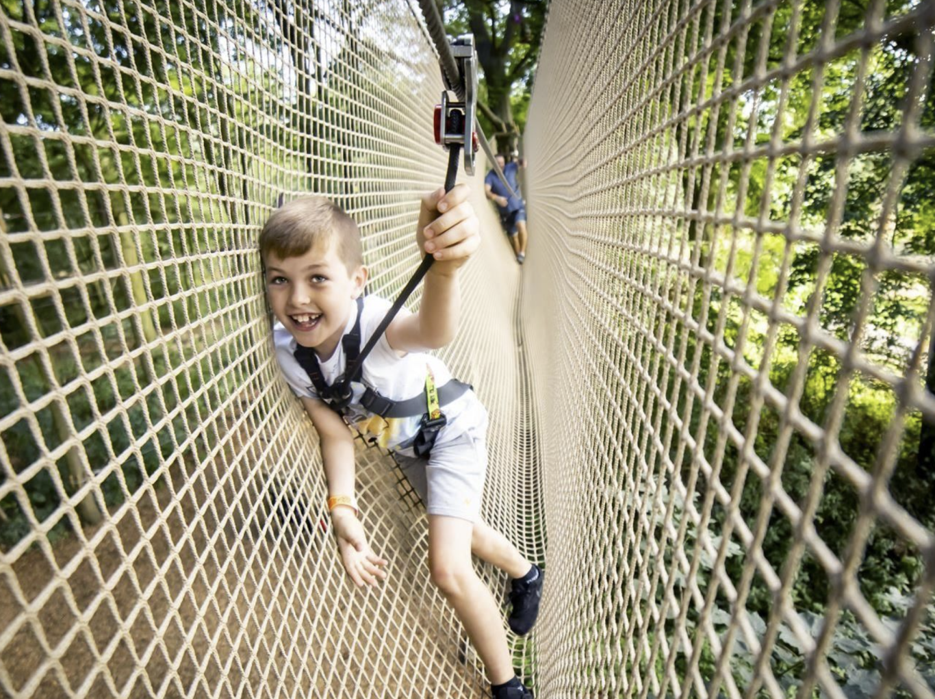 Go Ape, Haldon Go Ape, Haldon