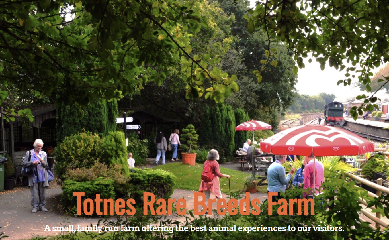 Totnes Rare Breeds Farm Totnes Rare Breeds Farm